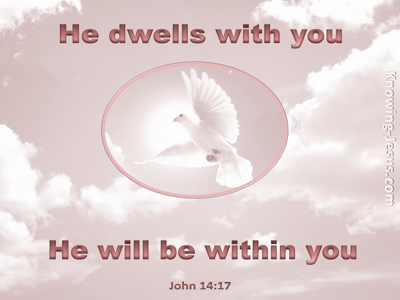 John 14:17 He Will Be In You (pink)